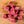 Roseda Black Angus Farm - Beef Cubes