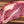 Roseda Black Angus Farm - Brisket